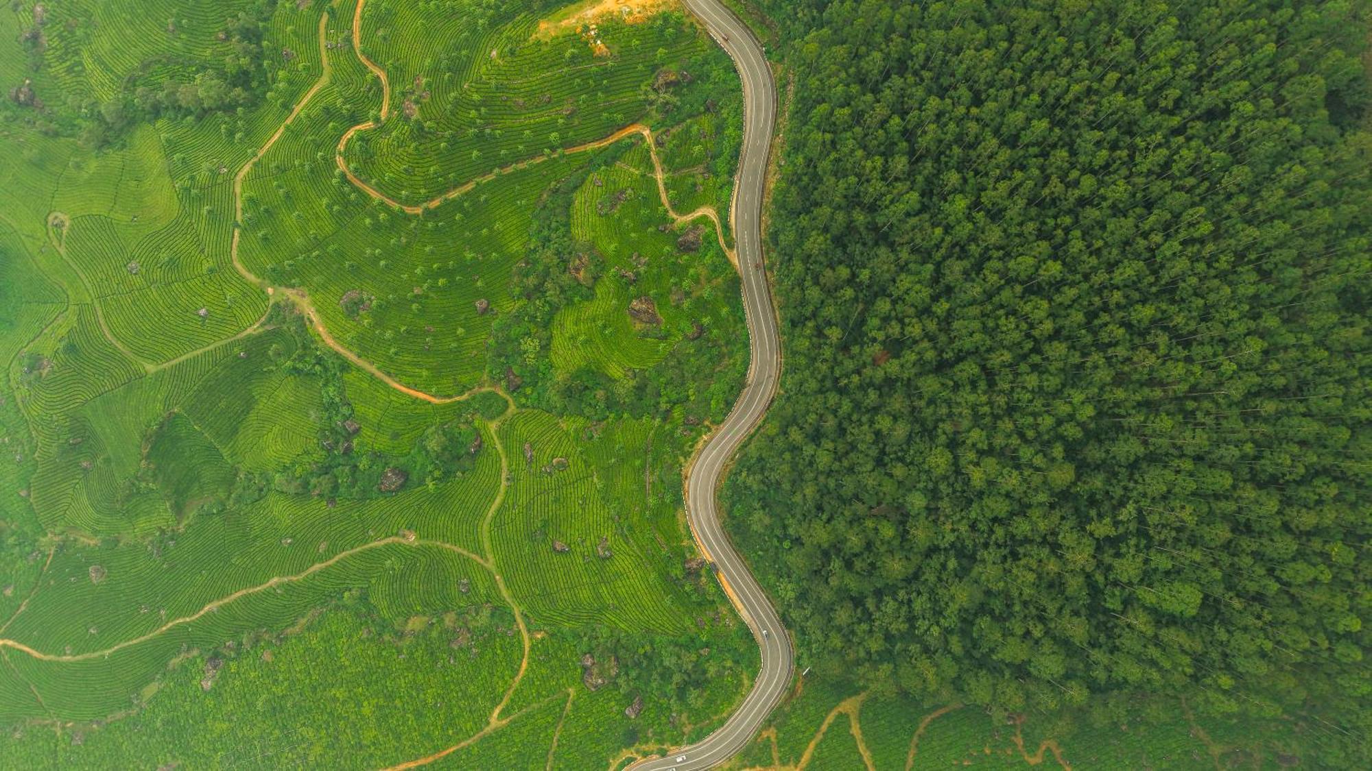 Eastend Munnar Eksteriør bilde