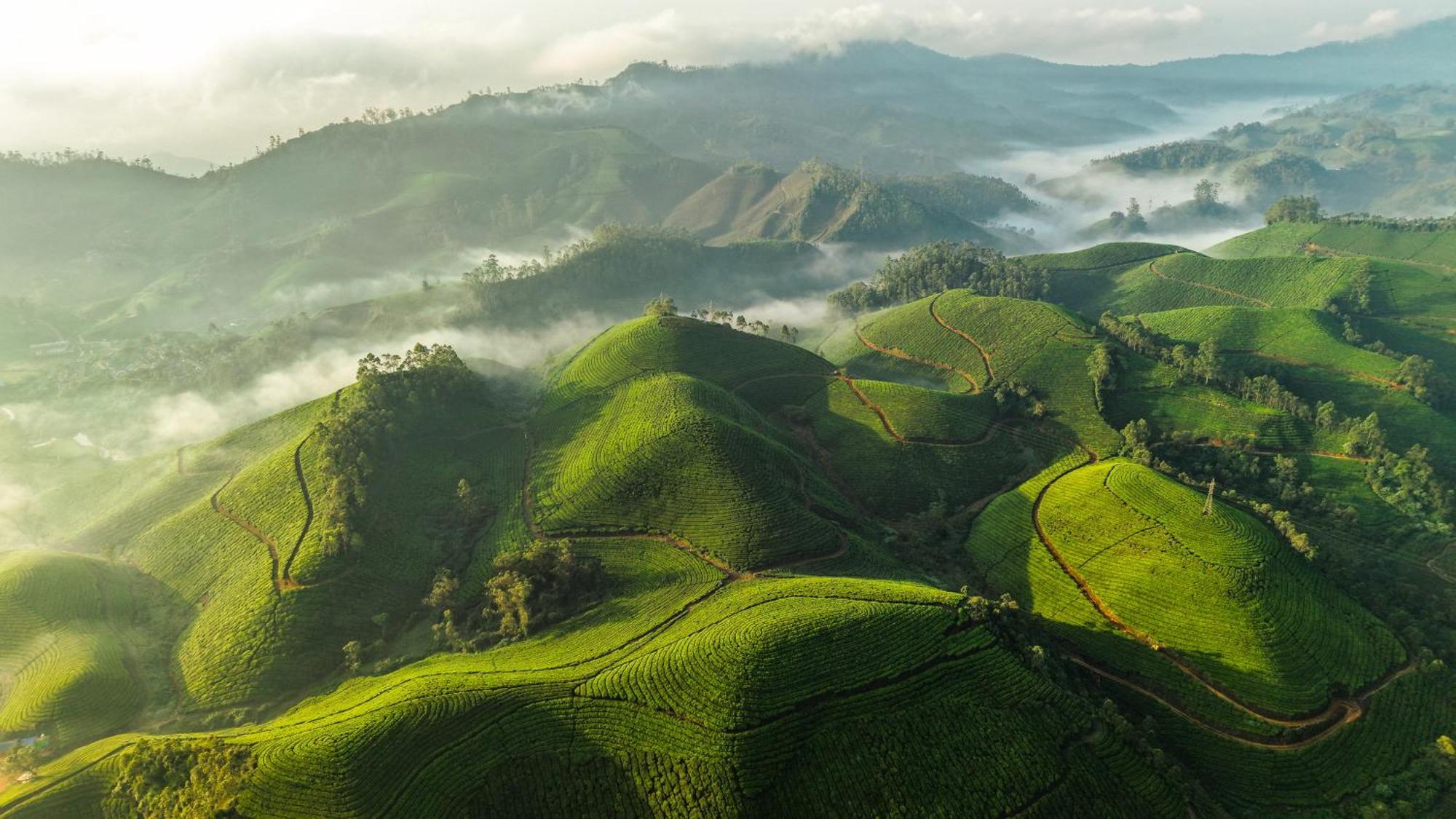 Eastend Munnar Eksteriør bilde